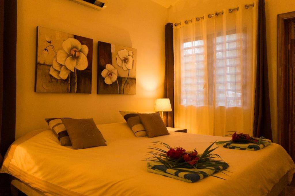 Villa Mon Repos - Rodrigues *